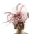 Lady Fascinators Flower Headband with Hair Clip, Pillbox Hat Cocktail Tea Party Headwear with Veil and Feather for Women